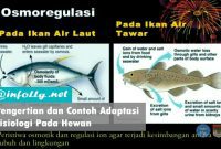 Pengertian-dan-Contoh-Adaptasi-Fisiologi-Pada-Hewan Pengertian dan Contoh Adaptasi Fisiologi Pada Hewan